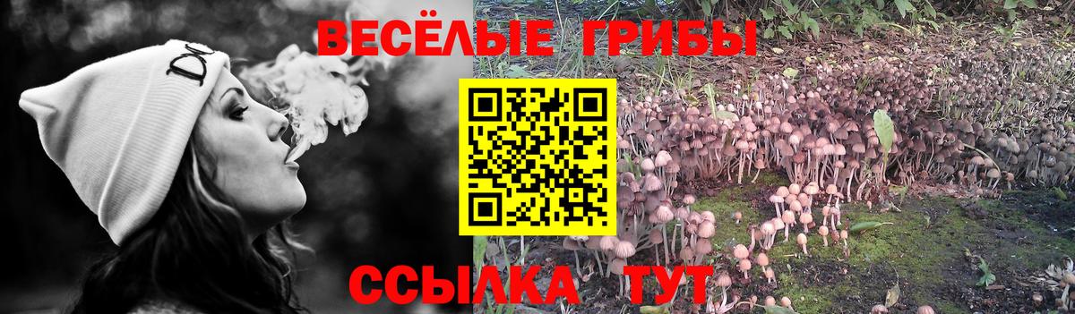 Псилоцибиновые грибы мухоморы  Вход с VPN  где купить   Обнинск 